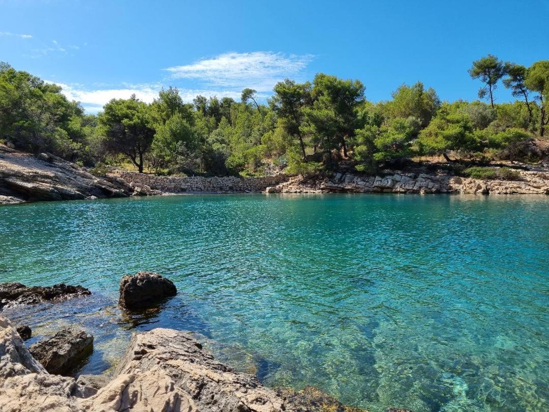 Villa Agava Vrboska Bagian luar foto